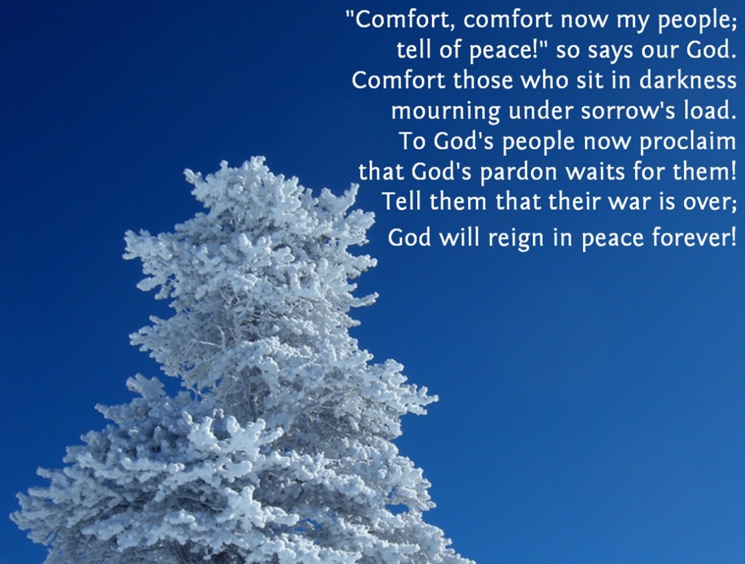 A81E9F0E-2271-4149-9432-5B83AFE1AEBD