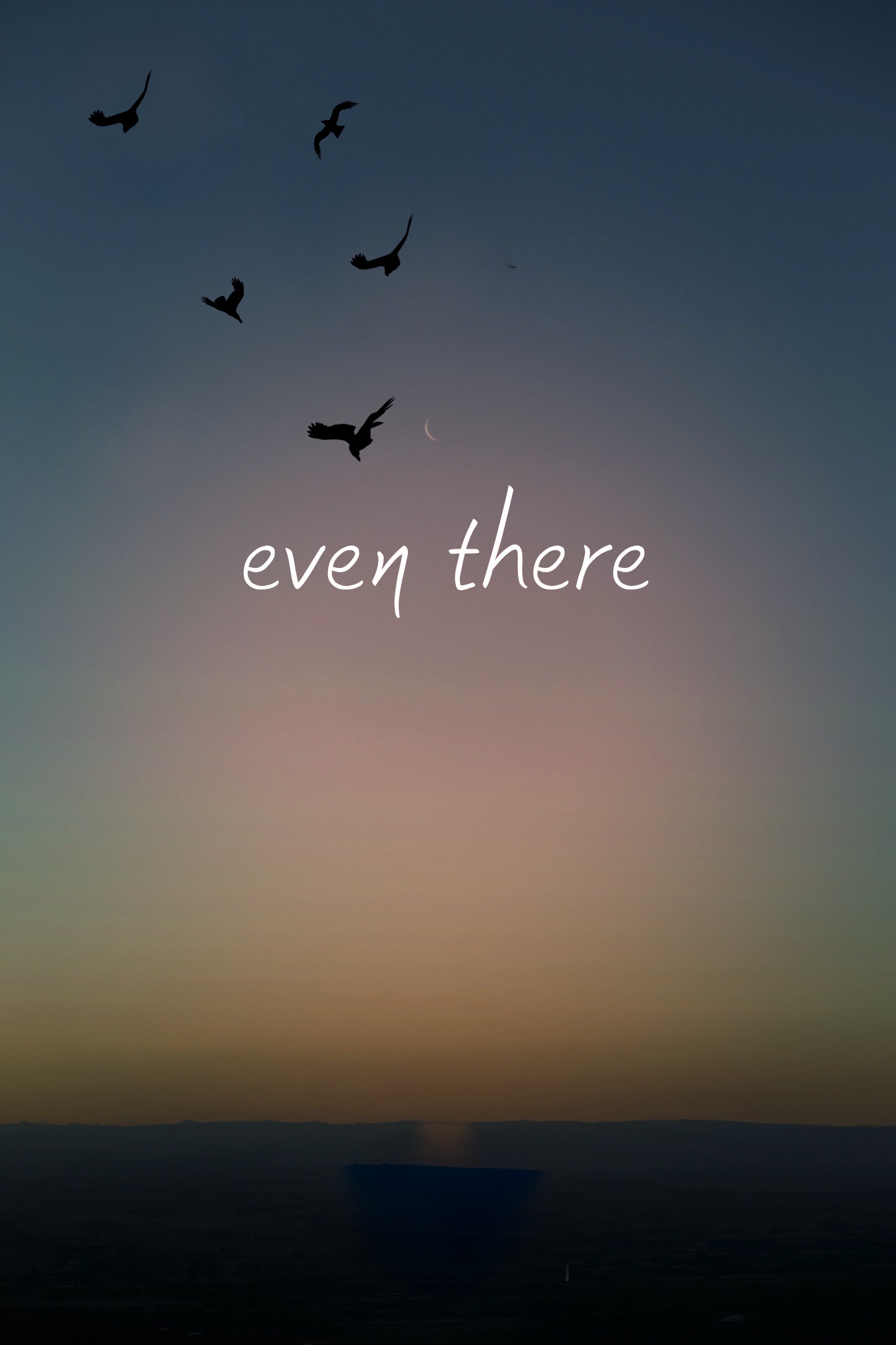 D2954ADE-75B4-4134-8B99-77B434376264