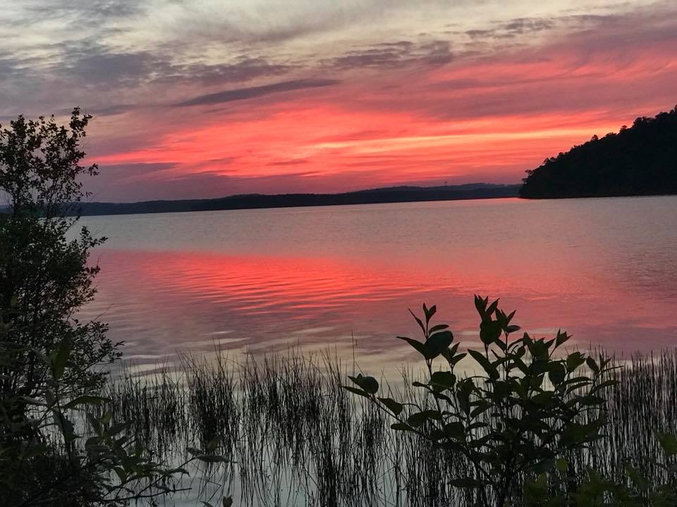 4C981E9F-B1F2-4849-81D2-C7BA782BCDEE