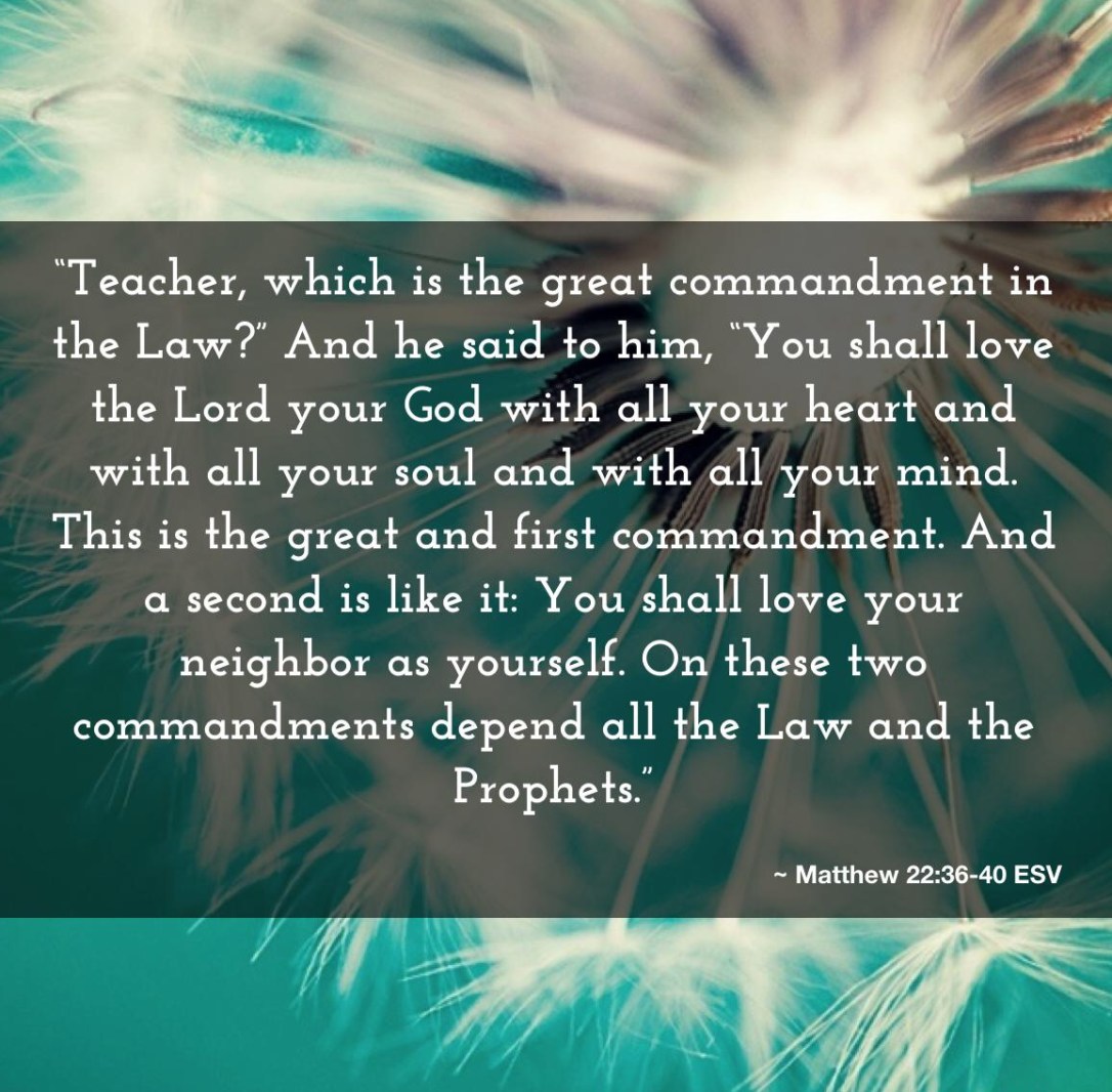 352F795F-C66F-45DB-838E-B2CEDFF6EA39