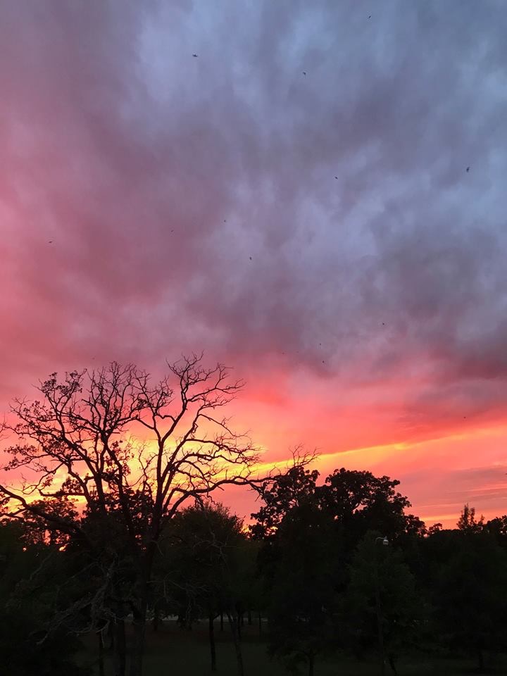 5388C091-C6CE-402C-A3DB-77B0DD838A84