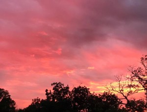 B2904AA9-02C4-480E-B061-D174E9810346