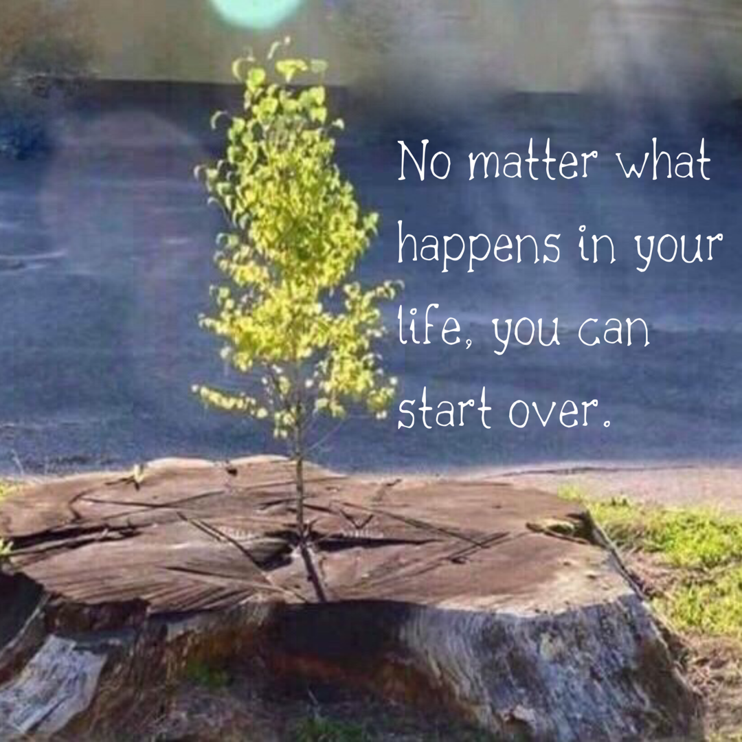 775D14C9-8802-4DEA-BD06-33C669F187B7