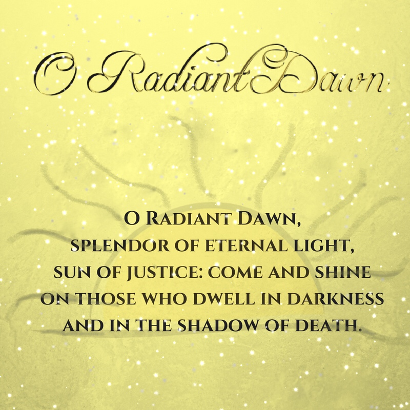 E8260192-9BC4-47D0-B6F8-7DECCE4828F0