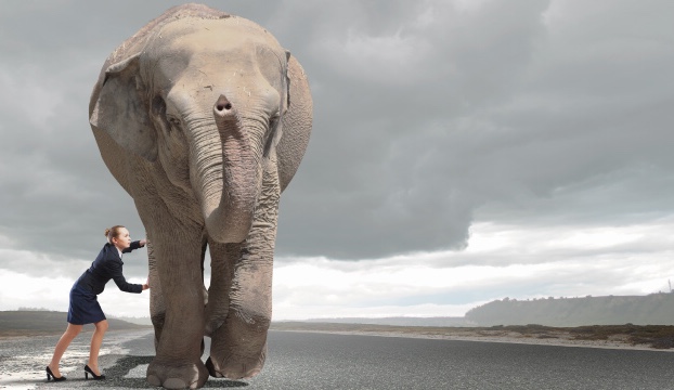 1d7ce45b-06ac-4a0a-92a0-8d51176ca80f