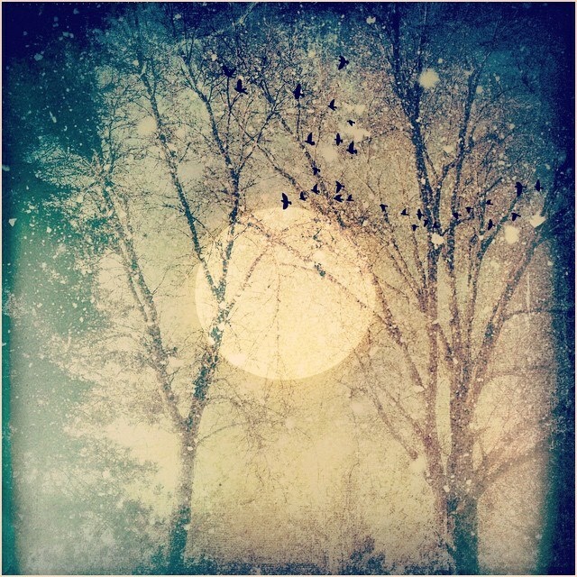 9F2CA72F-217D-4CF9-A56D-D75B789A45C1