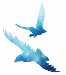 3B5858AA-997E-4D5C-8695-5D41049B2B90