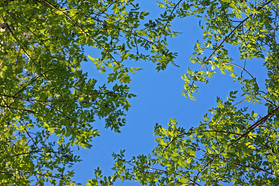 137A3E93-F8AA-42BF-BC03-8F75DE8302D8