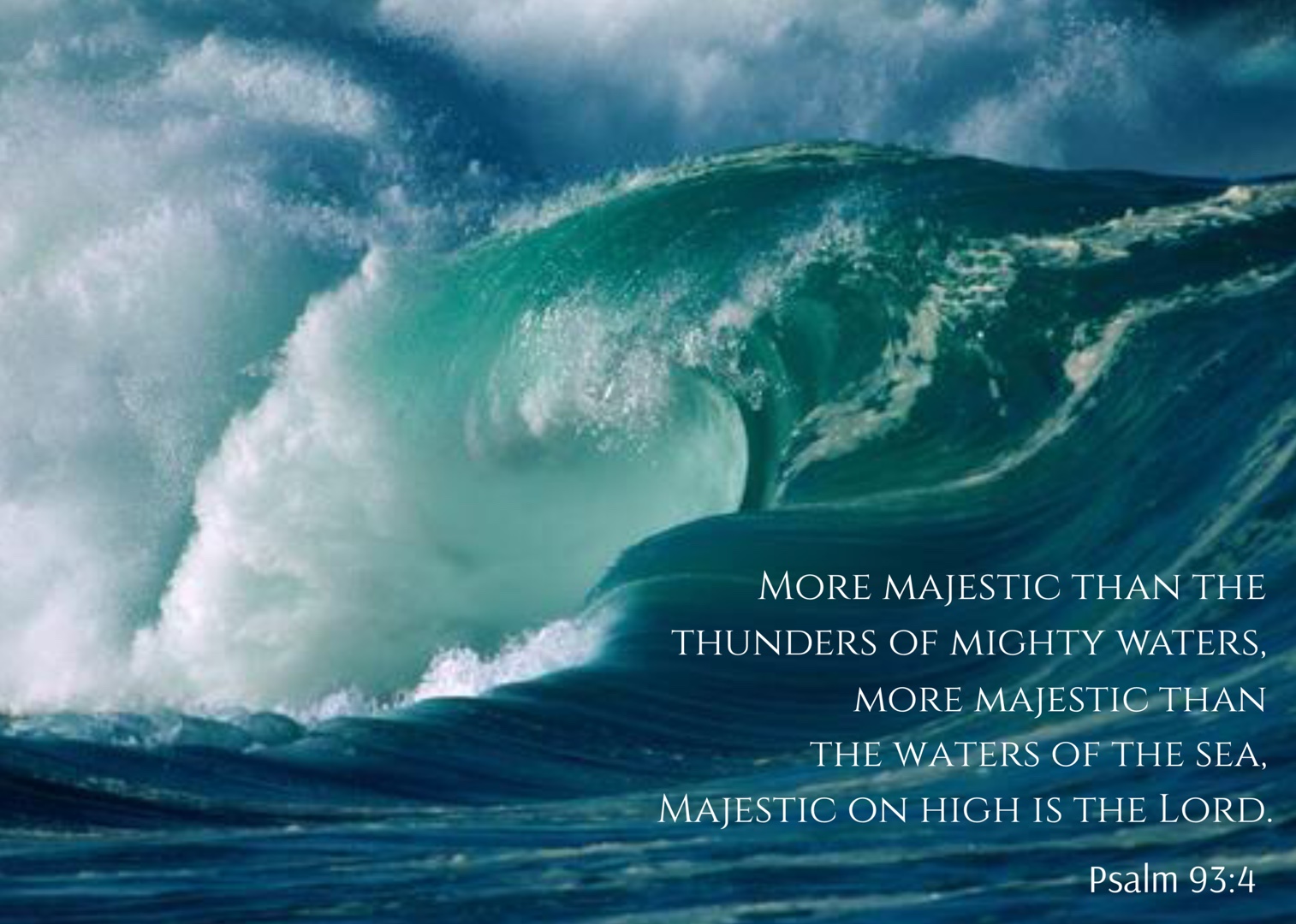 ED8FACF3-D56C-403C-826A-40C2AB6F1C89