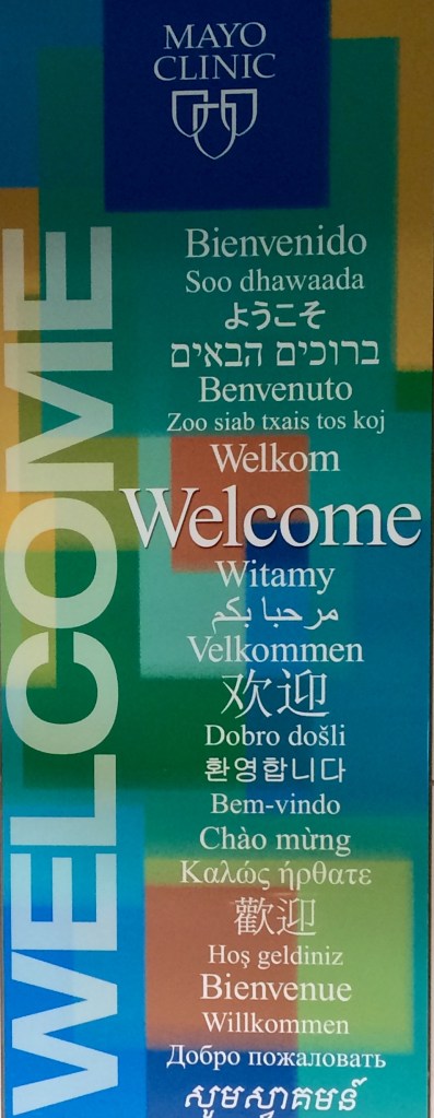 34233289-31E0-49AE-9D02-0D6B98DC5AD7