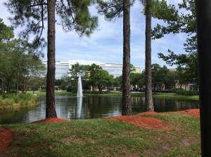 597D7A3B-97E2-4EED-AB9A-A6E736E7185E