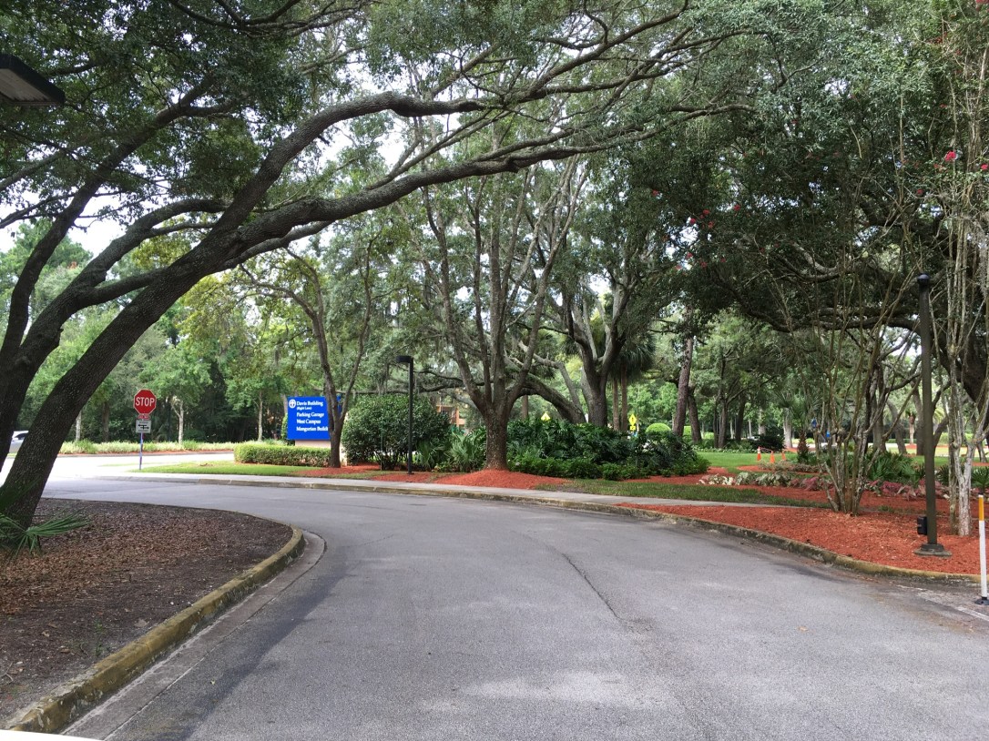 8B9D2E9C-5D40-4AB2-BD9B-D35F83C78882