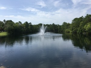 E9B0C9D8-E46A-40EA-A66E-B0117A8E3D14