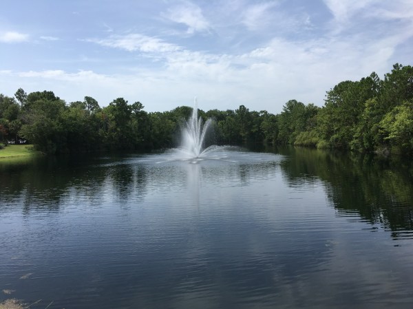 E9B0C9D8-E46A-40EA-A66E-B0117A8E3D14