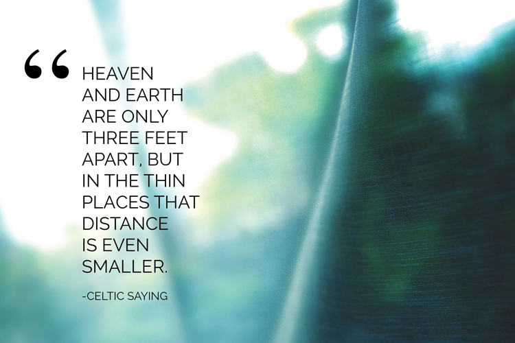 49F7CE73-0BD4-4B1A-ACD6-CAF8D1EA6816