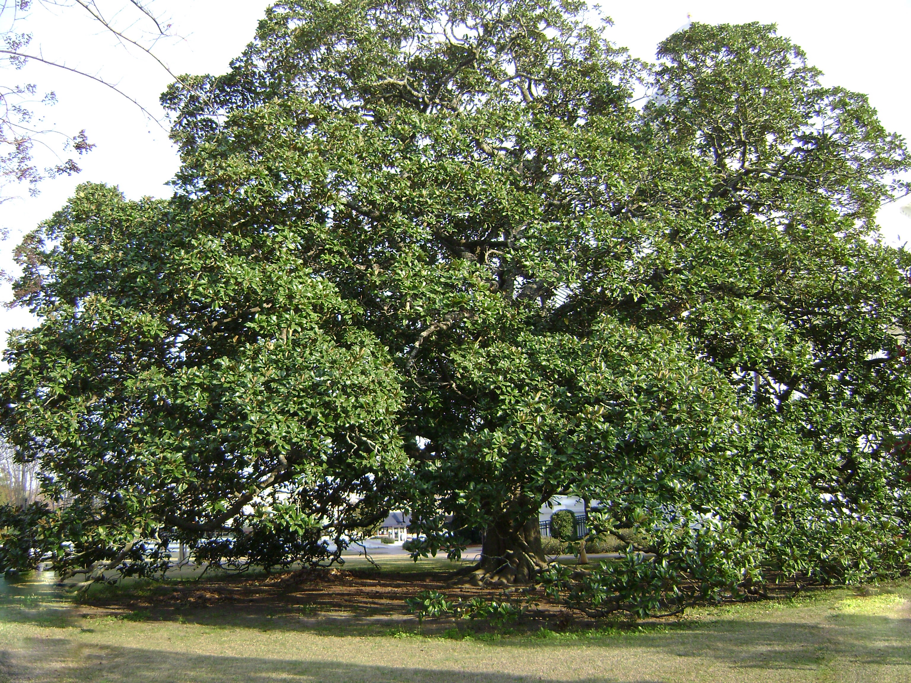 D10C41D6-4875-479D-B4BC-40762C72FD3C