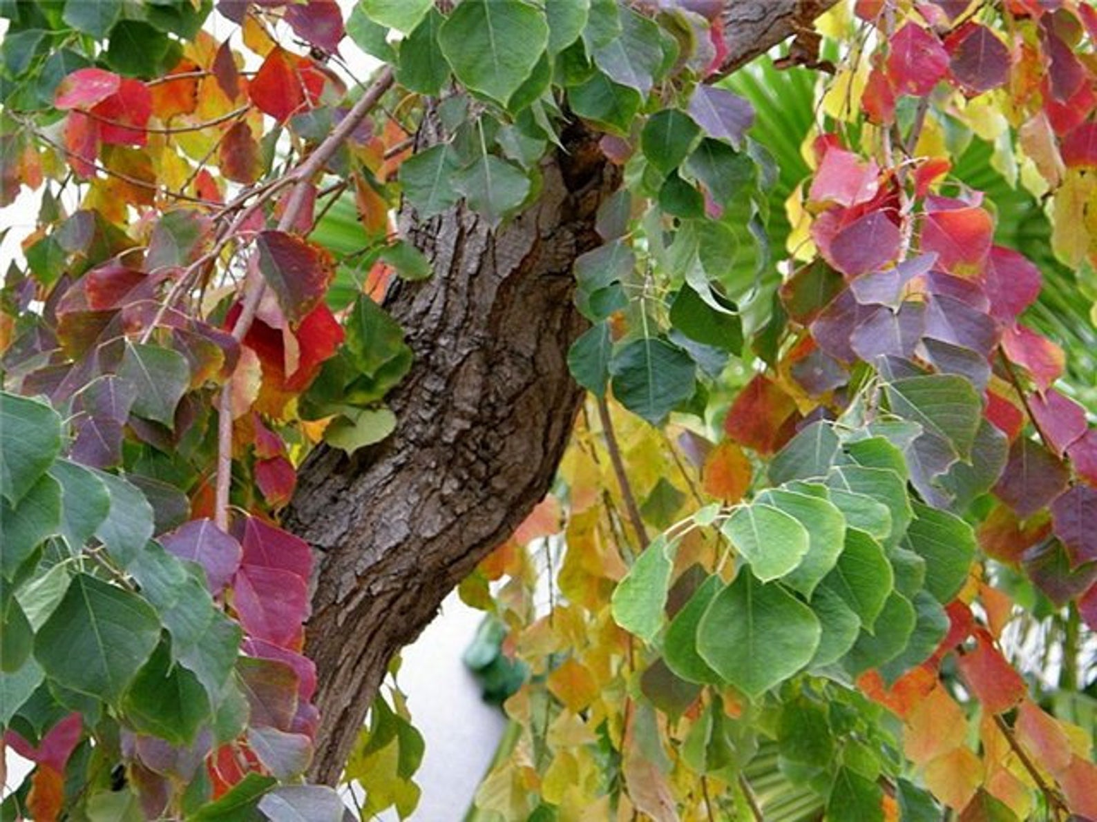 E0A3E9A4-310C-4286-8DD1-F07DCB104F2C