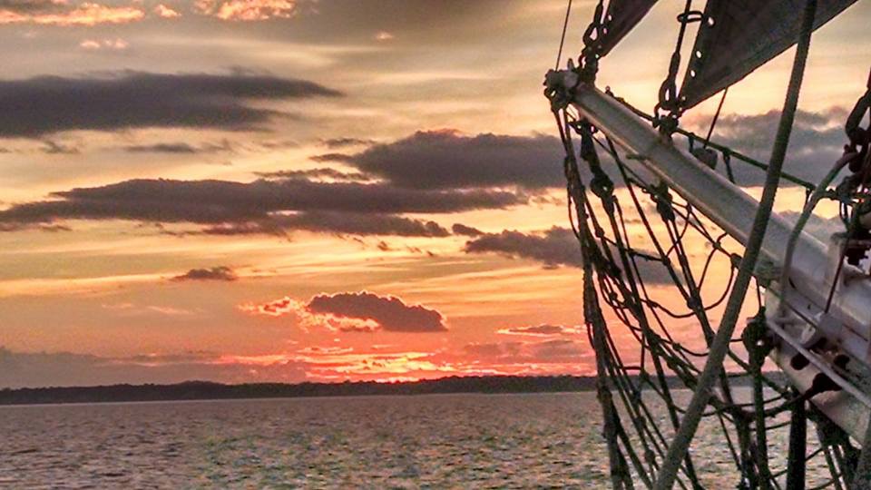 3FEABE5F-CF16-4EB2-A5A2-89DD29771C74