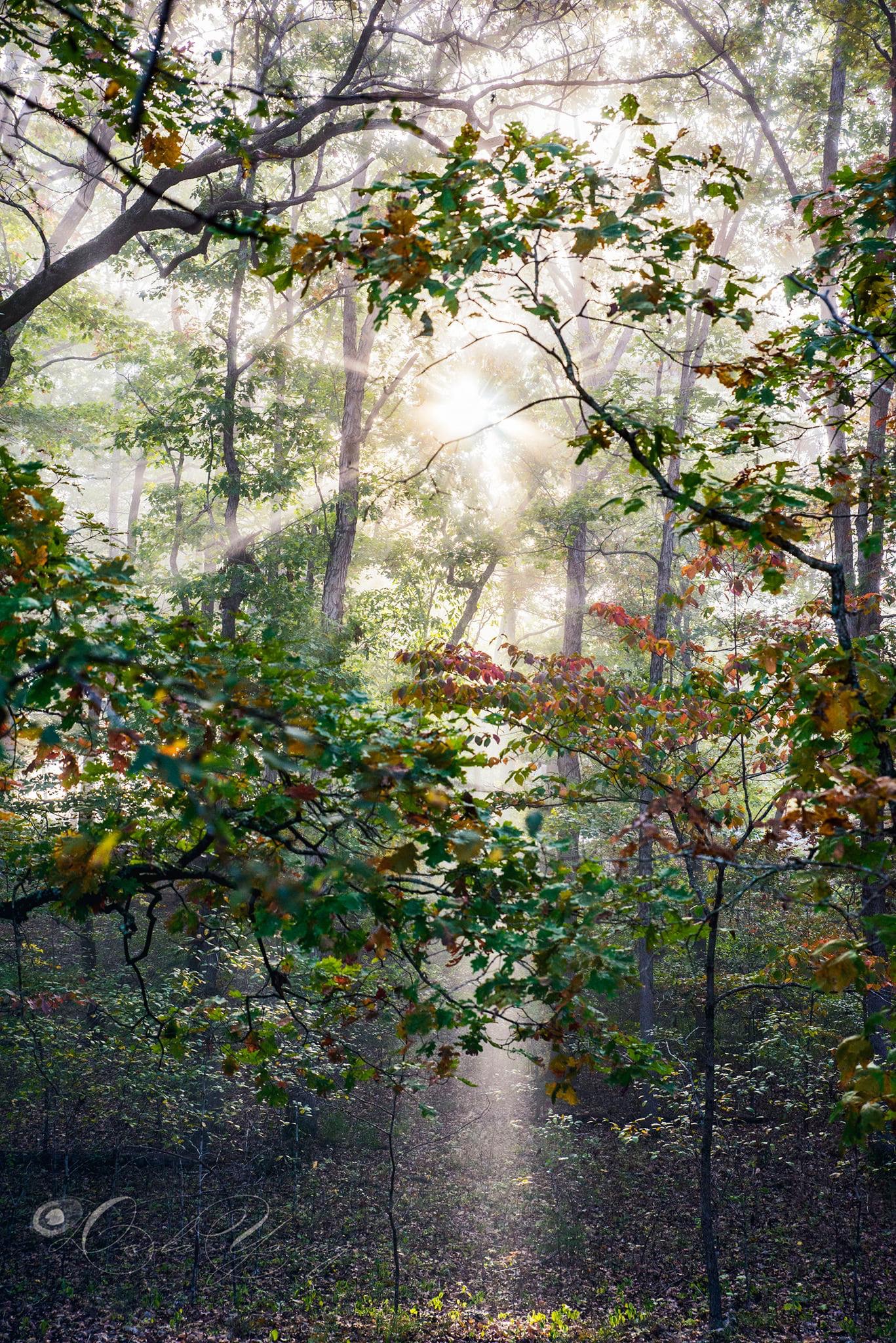 7FCC4253-B8C4-4A52-8798-8BADAEFA0519