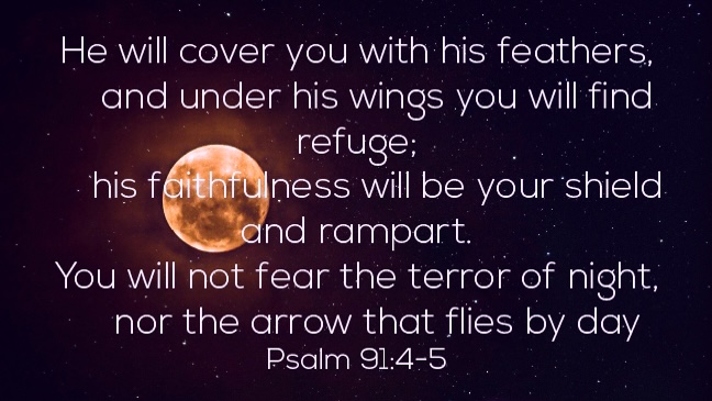 44DCD866-9186-4497-9DAB-0A6A3B9633CF