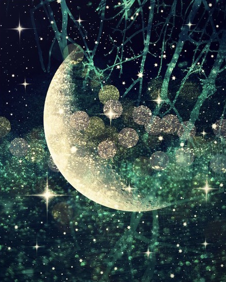 61A24E10-42F0-4043-829B-69B005A420E8