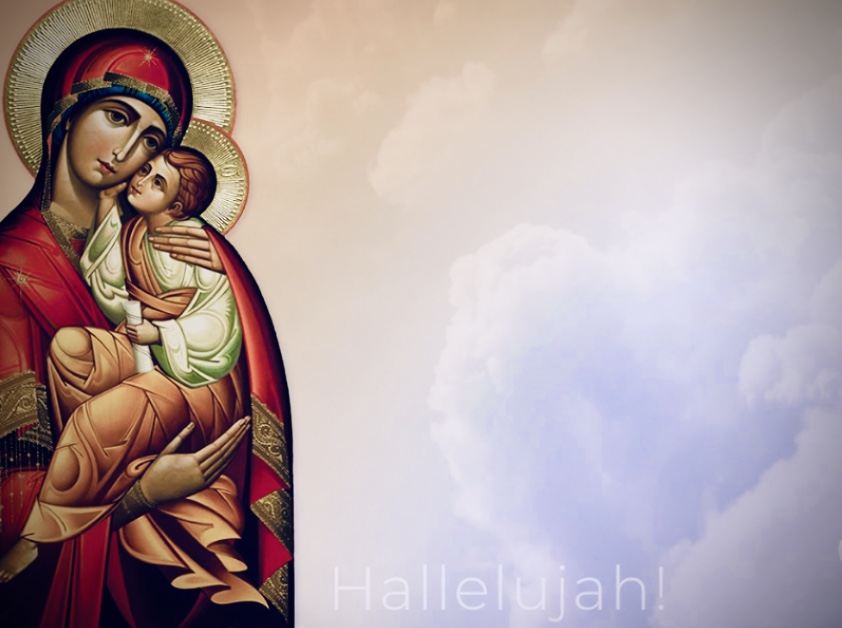 DBD1A3AF-D9E4-40CB-A77F-D8CFB3E0E6FB