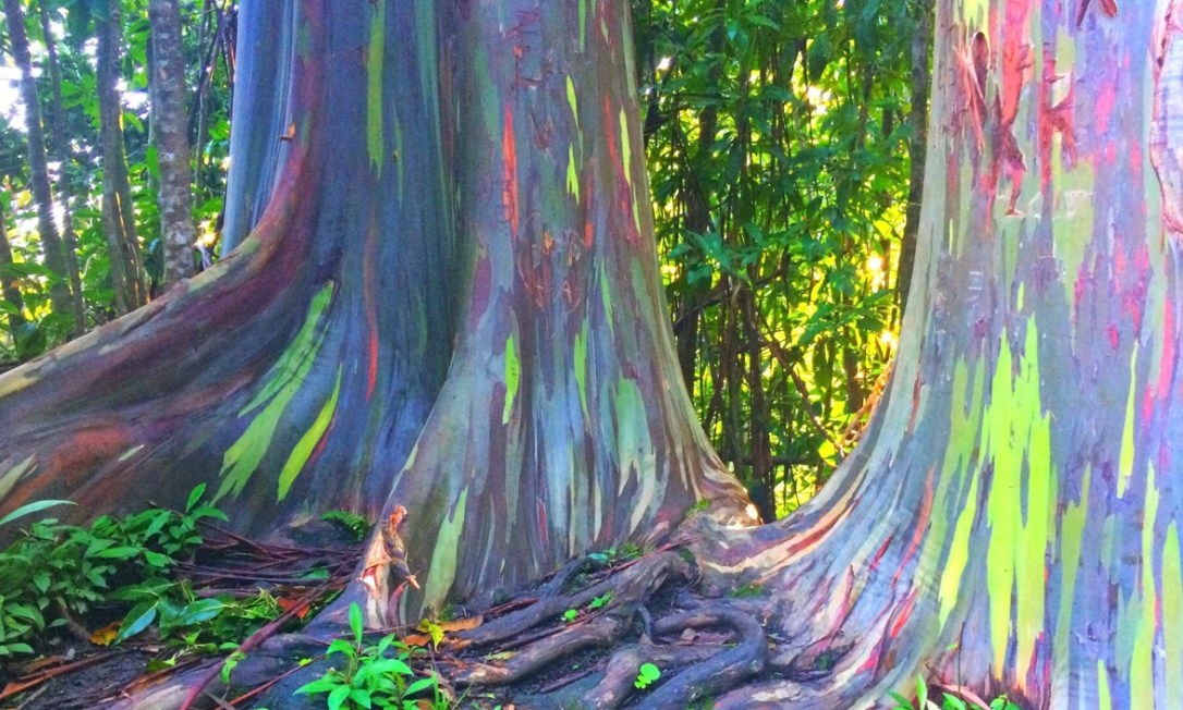 3A2F0634-063D-4F26-B01F-F36B8CFE6EF9