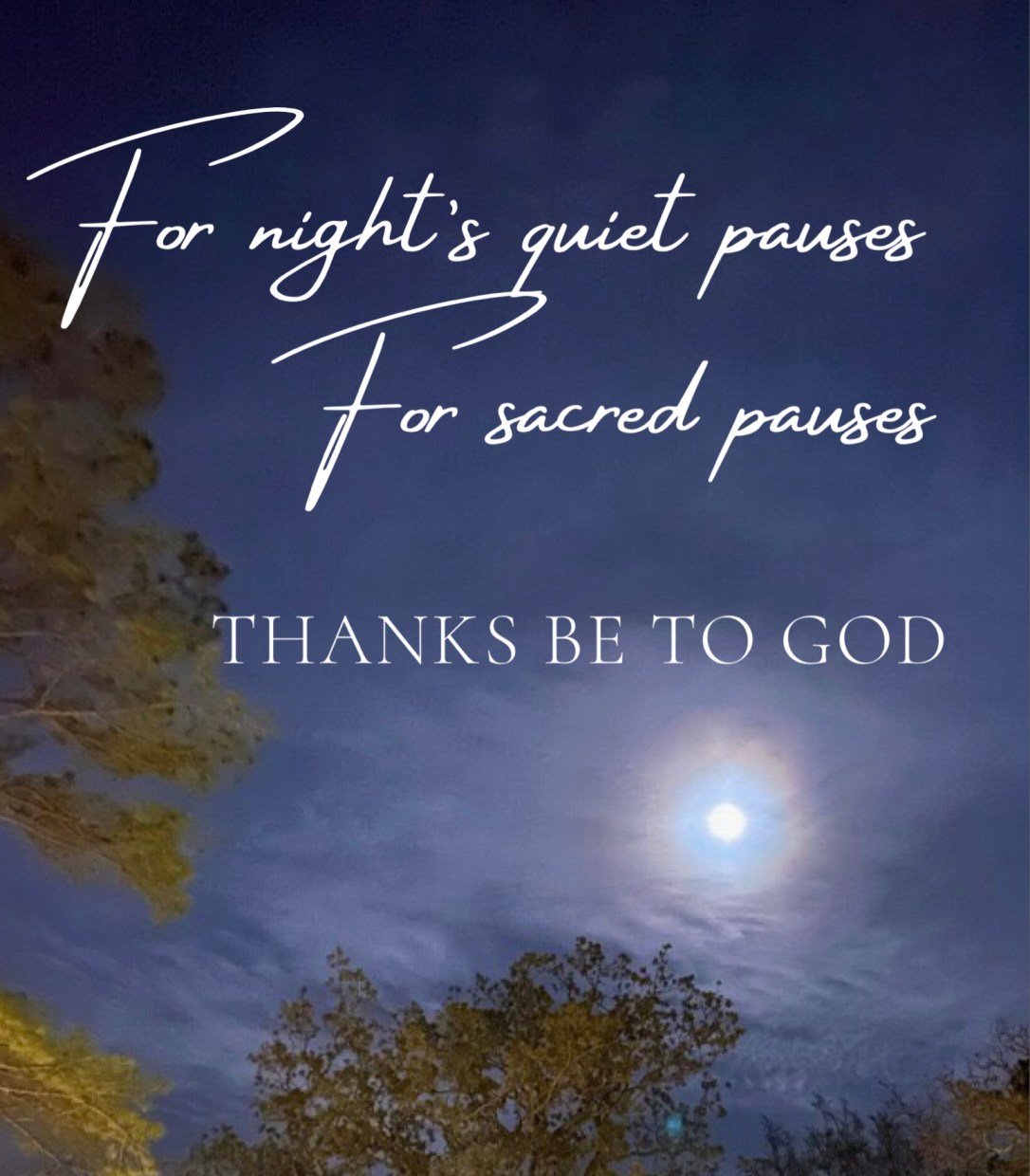 F1BC2288-D107-4584-AE59-9D319BA1F8E9