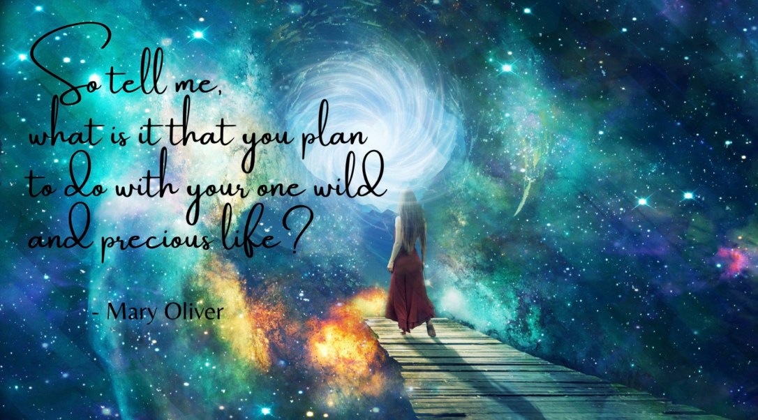 05D8F2C8-83DB-40E3-9FEC-43A543D80EC3