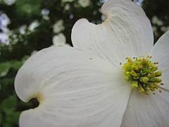 81189983-8ADE-4D60-9088-C52DA3983583