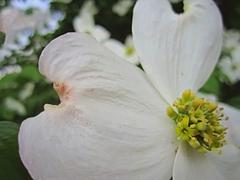 8DEA0FBE-8A3E-4AF8-8142-DA825CA72359