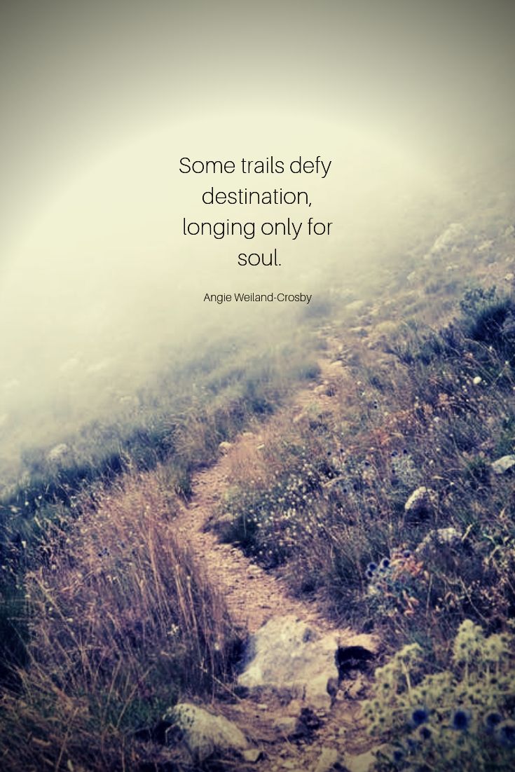 The Trails I Take – God of the Sparrow 🌱 By Kathy Manis Findley