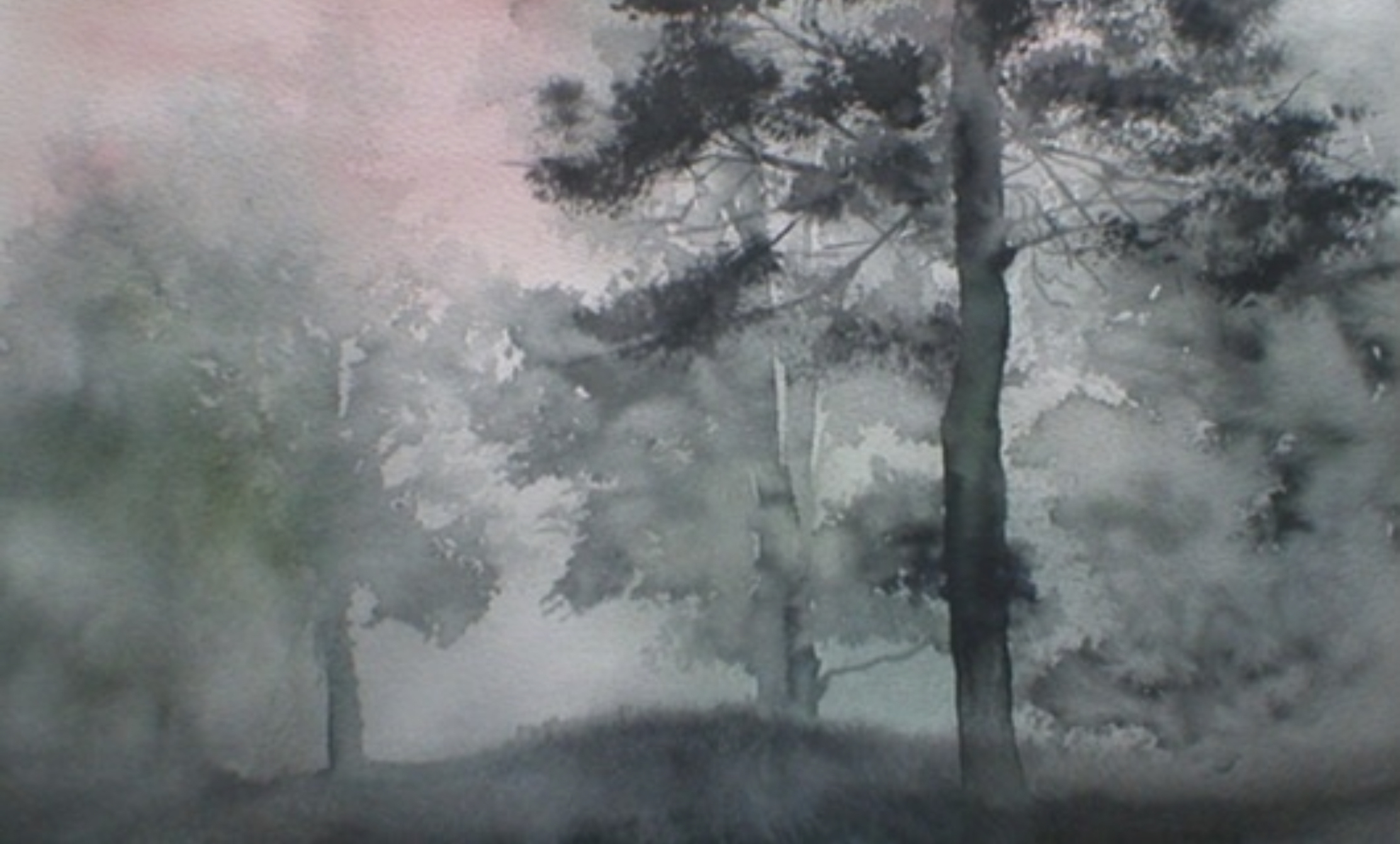 5A2EB8AE-EAB9-4CD6-9915-CBFC3BBE670F